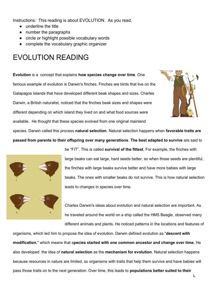 Understanding Evolution and Natural Selection | PDF | Natural Selection ...