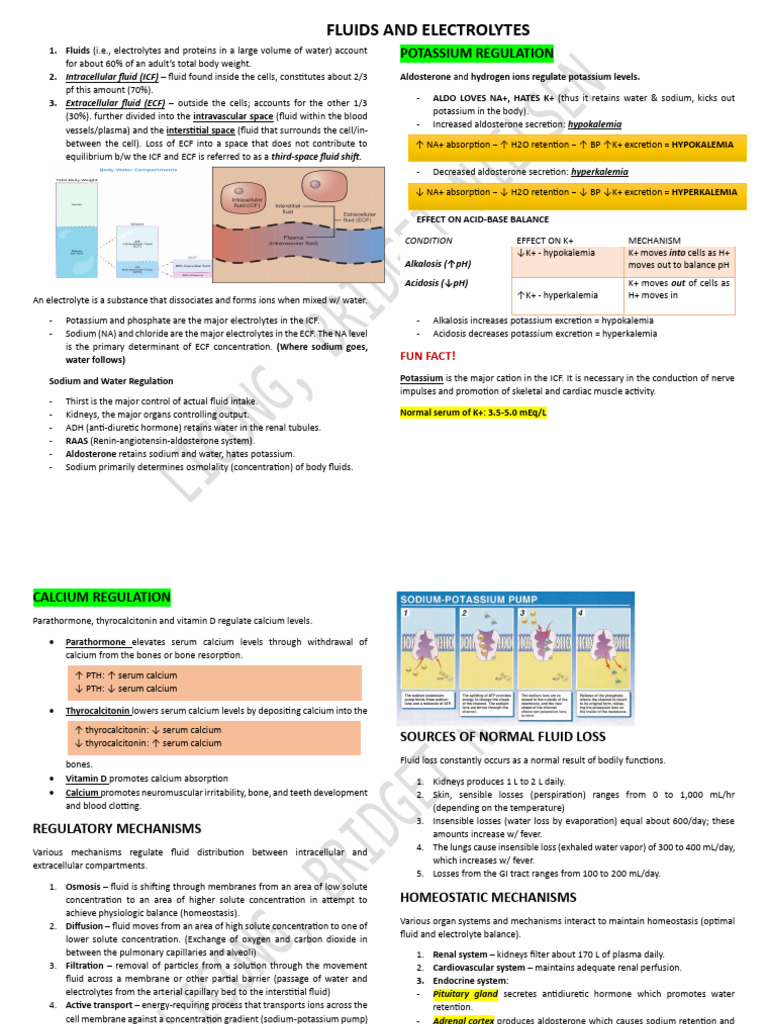 Fluid and Electrolyte Balance Overview | PDF | Homeostasis | Electrolyte
