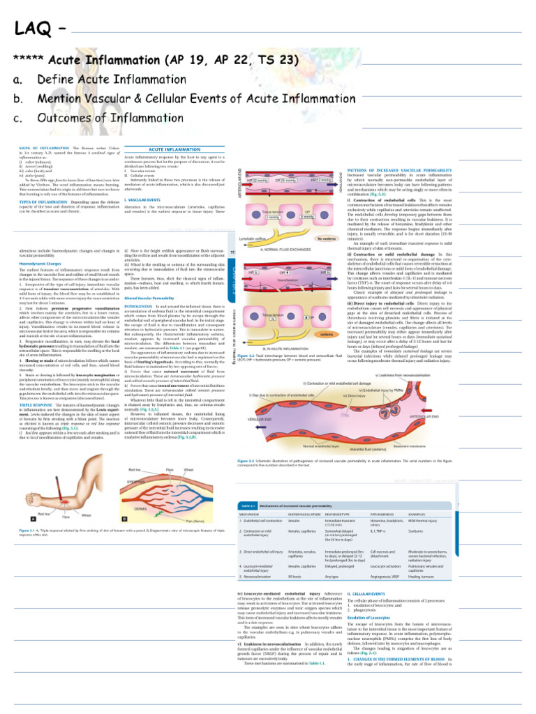 Inflammation & Repair (1) | PDF