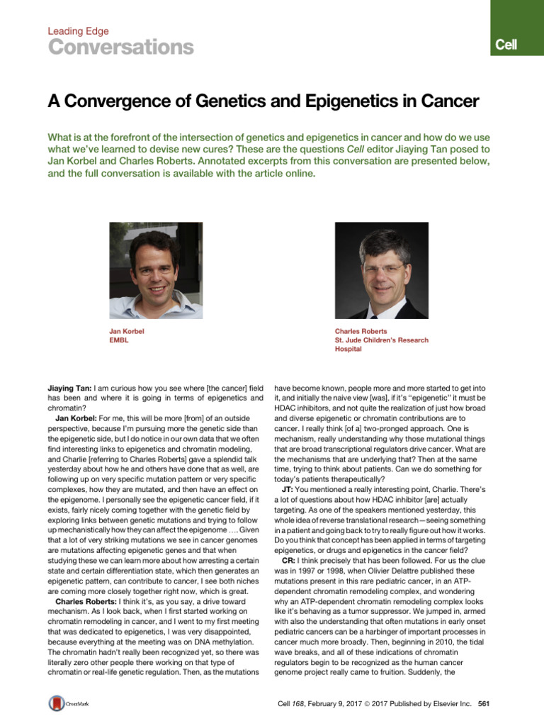 Genetics and Epigenetics in Cancer | PDF | Epigenetics | Cancer
