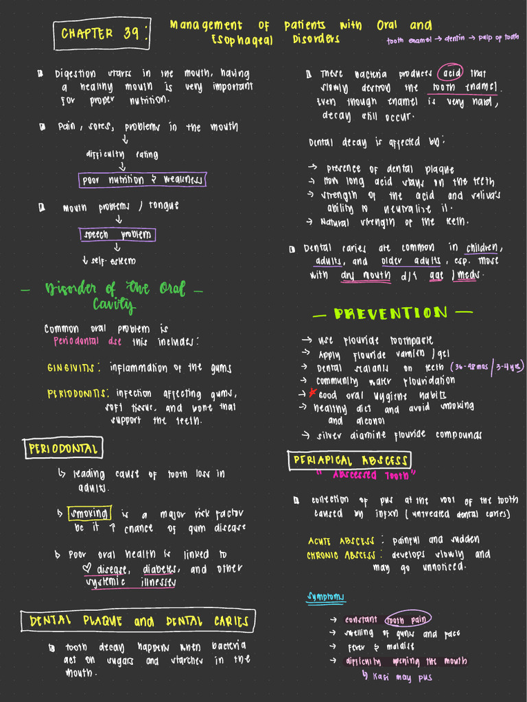 CHAPTER 39 MS2 | PDF | Human Tooth | Tooth Enamel