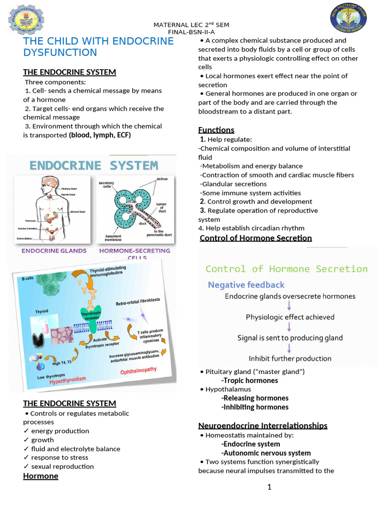 Joshwell Bsn a Maternal Lec Final Part | PDF | Adrenal Gland ...