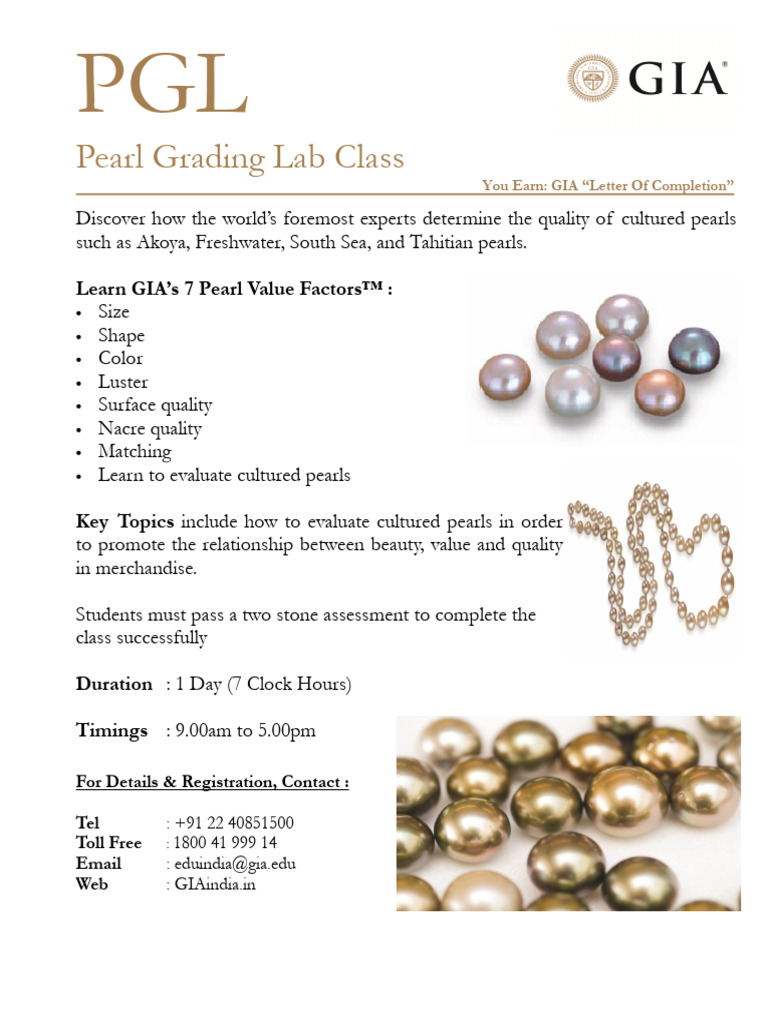 IN Lab - PGL 2020 | PDF