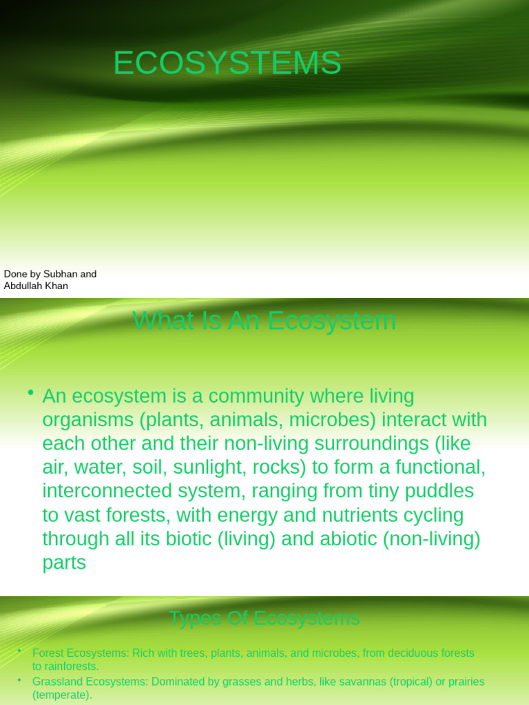 Understanding Ecosystems: Types & Features | PDF | Ecosystem | Forests
