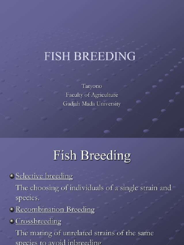 breeding in fishes | PDF