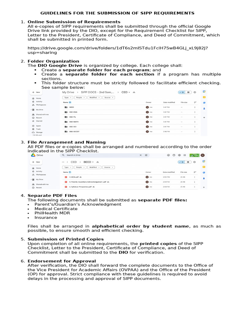 SIPP Requirements Submission Guidelines | PDF