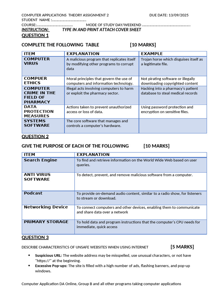 Computer Applications Theory Assignment | PDF | Malware | Computer Virus