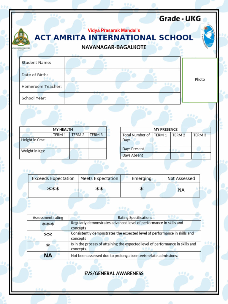 Student Performance Assessment Report | PDF | Literacy | Consonant
