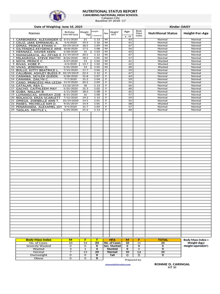 Bmi Template - Maam Merlie | PDF | Body Mass Index | Human Appearance