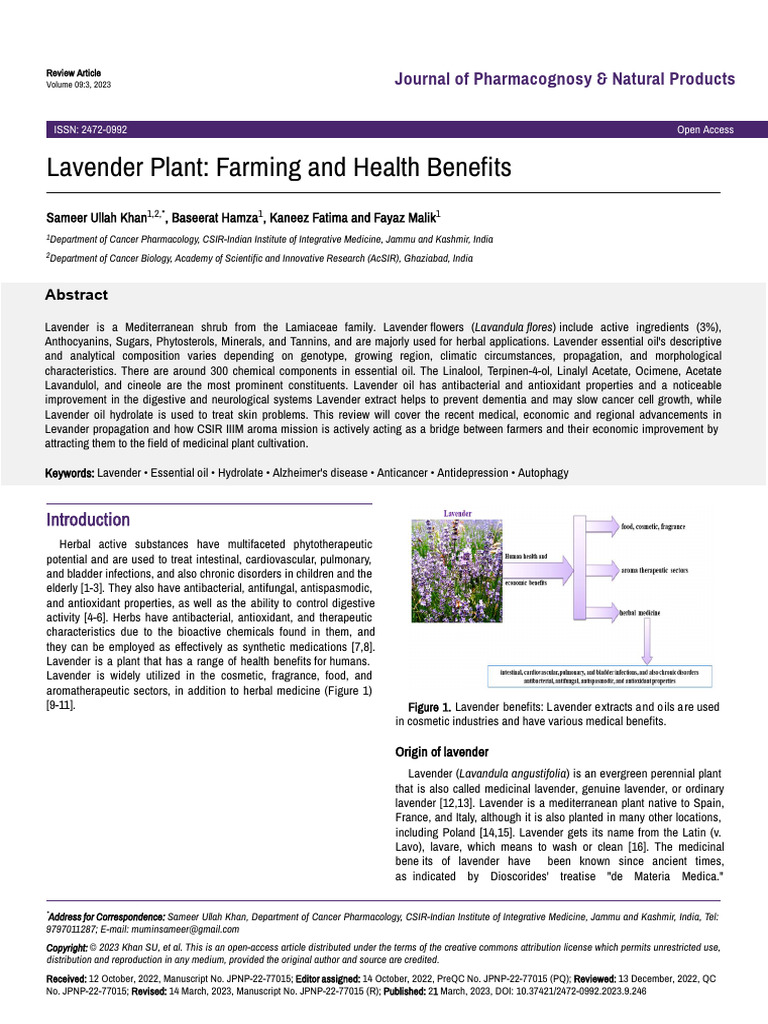 Lavender Farming and Health Benefits | PDF | Lavandula | Essential Oil