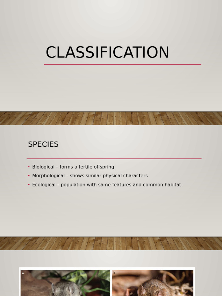 Understanding Biological Classification Types | PDF