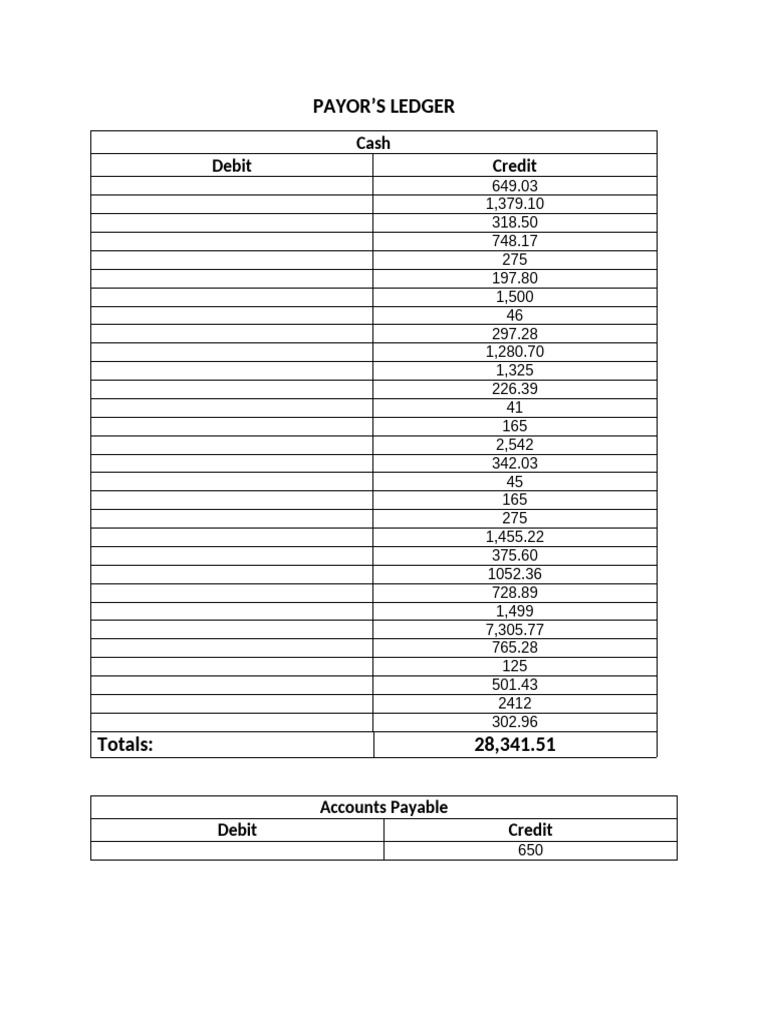 Payor's Ledger and Trial Balance Summary | PDF | Debits And Credits ...