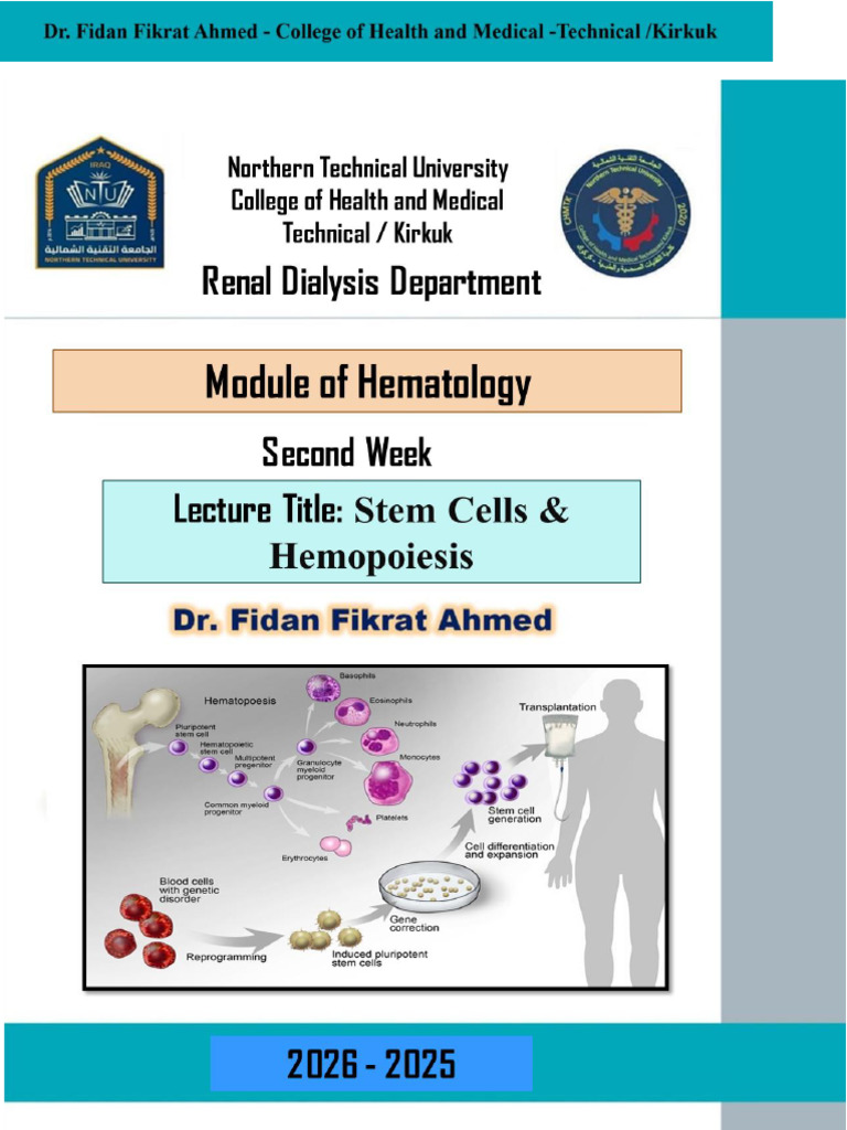 Understanding Stem Cells and Hematopoiesis | PDF | Stem Cell ...