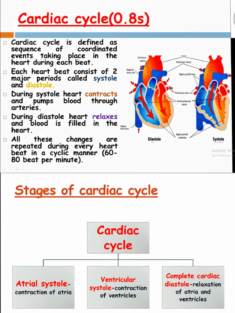 Cardiac Cycle | PDF | Diastole | Heart Valve