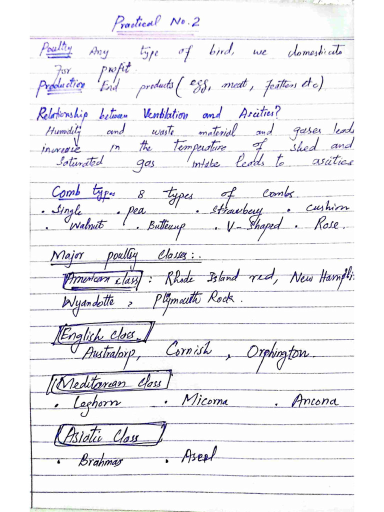 Poultry Practical (Allah Rakha) - Compressed - 85 | PDF