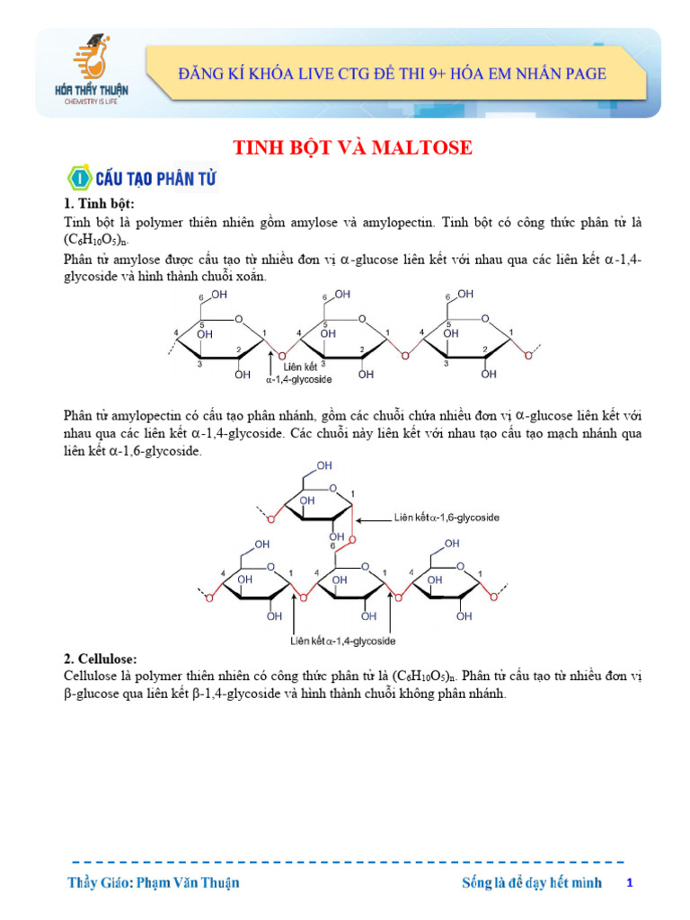 6. Lý Thuyết Và Bài Tạp Tinh Bột - Cellulose | PDF