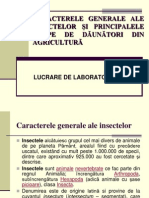 Caracterele Generale Ale Insectelor Şi Principalele Grupe de Dăunători Din Agricultură