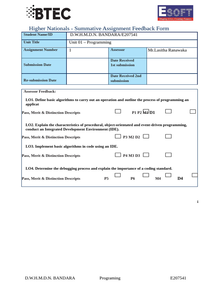 Programming Assignment Feedback Form | PDF | Computer Programming ...