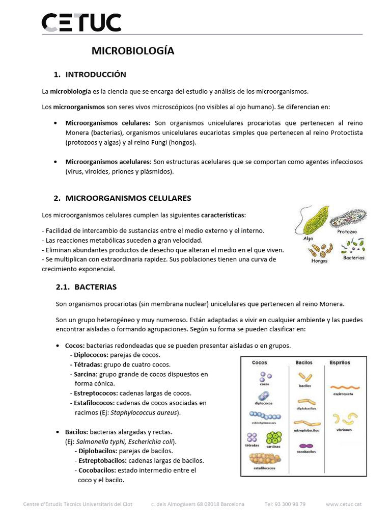 Introducción a la Microbiología y Microorganismos | PDF | Virus | Las ...