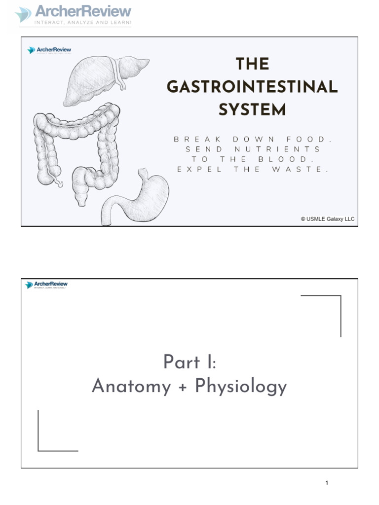 Gastrointestinal Anatomy and Pharmacology Guide | PDF | Small Intestine ...