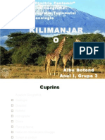 Kilimanjaro