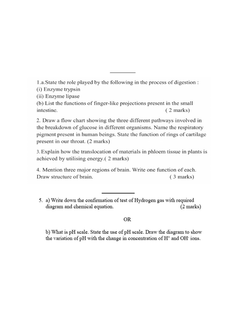 Grade X Science Revision Test Guide | PDF