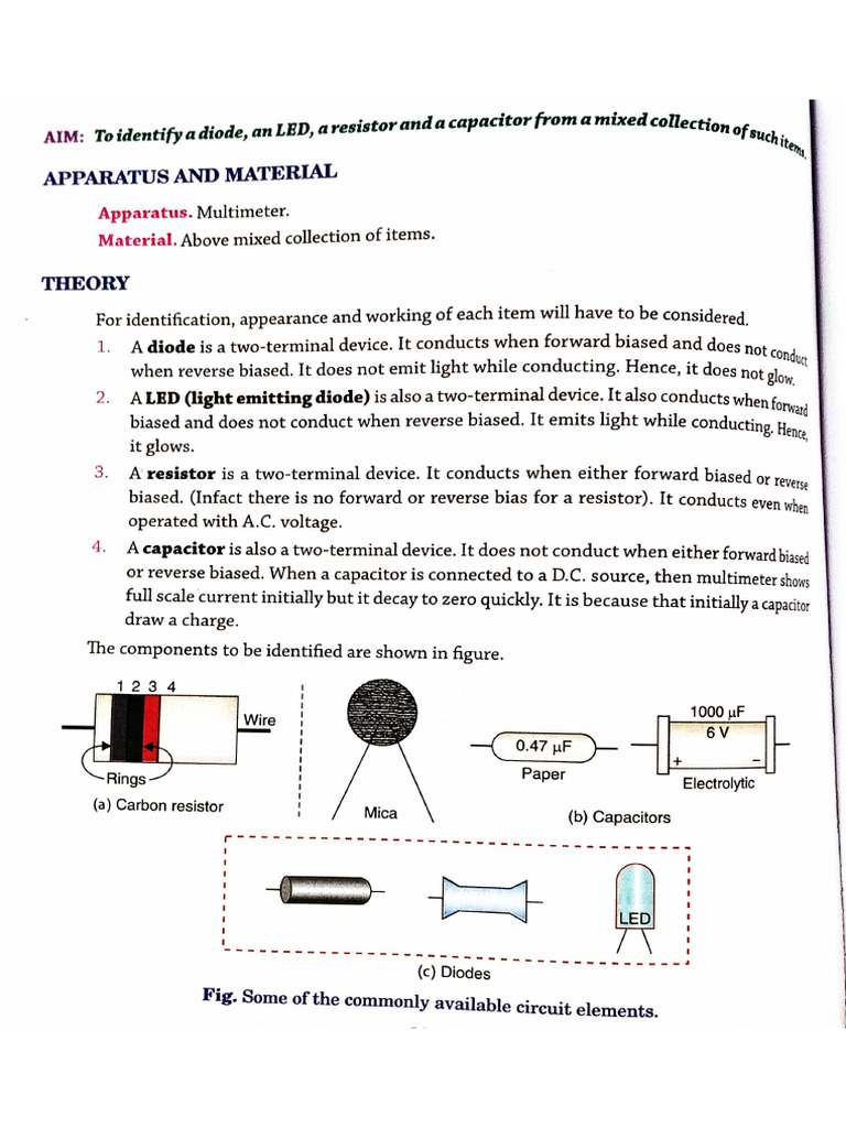 Activity 4 | PDF