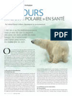 Des ours n'ayant « polaire » en santé