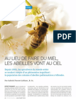 Au lieu de faire du miel, les abeilles vont au ciel