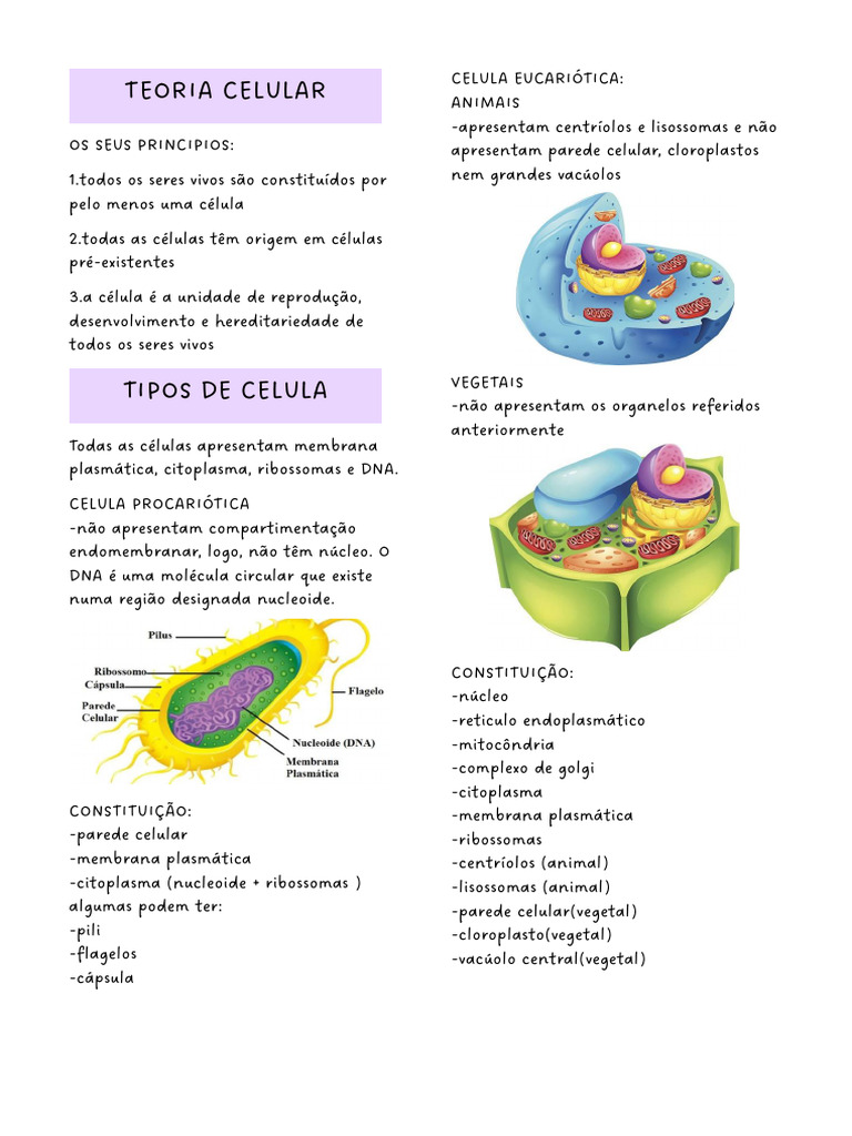Princípios e Tipos de Células: Procariontes e Eucariontes | PDF