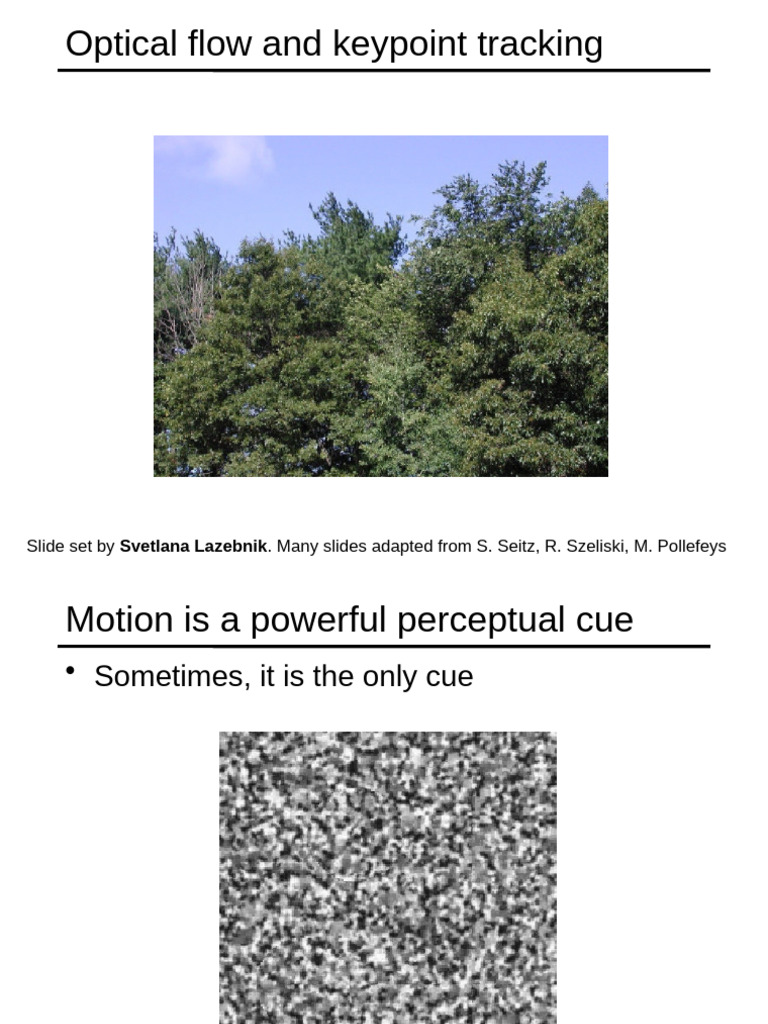 Optical Flow and Keypoint Tracking Techniques | PDF | Perception ...