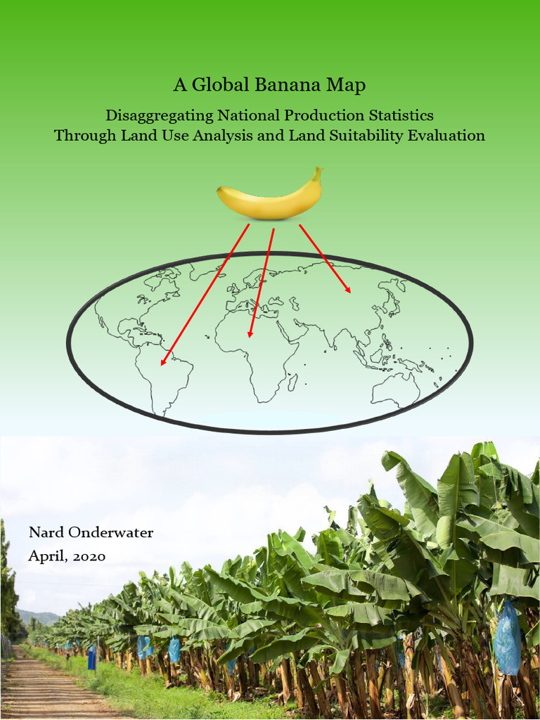 Global Banana Production Mapping Analysis | PDF | Soil | Banana
