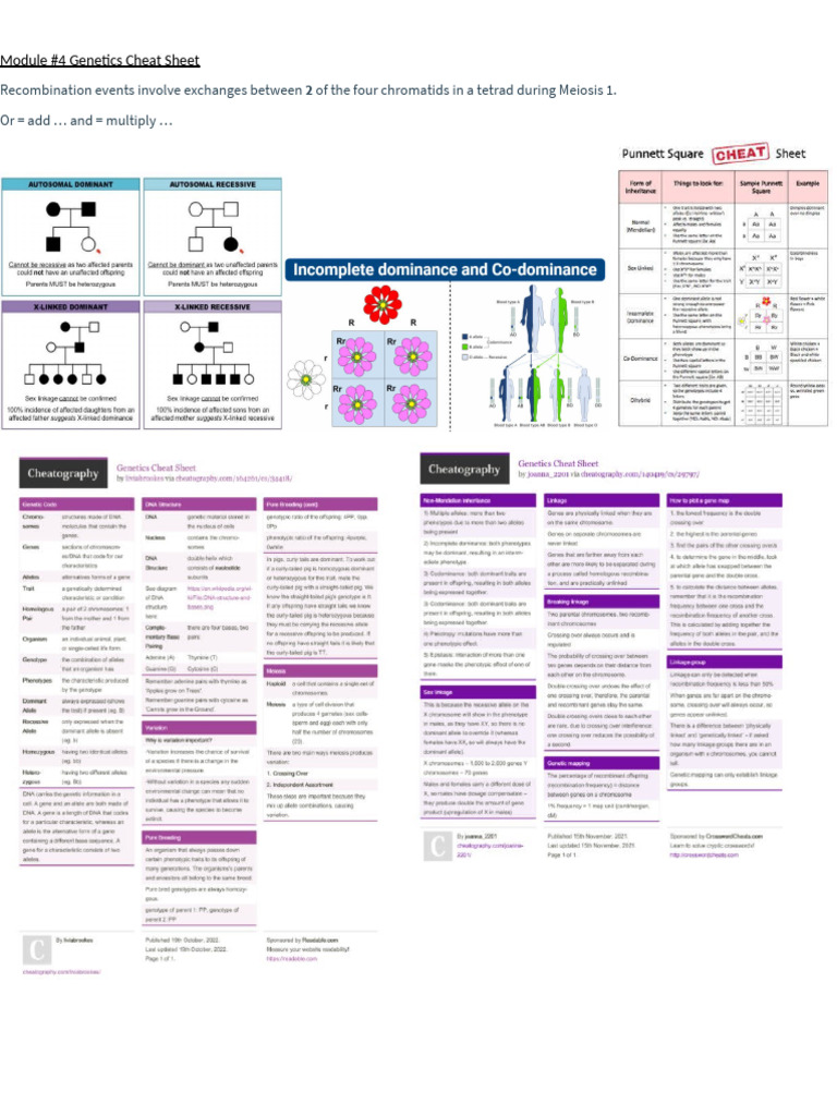 Genetics Cheat Sheet: Recombination & Variation | PDF