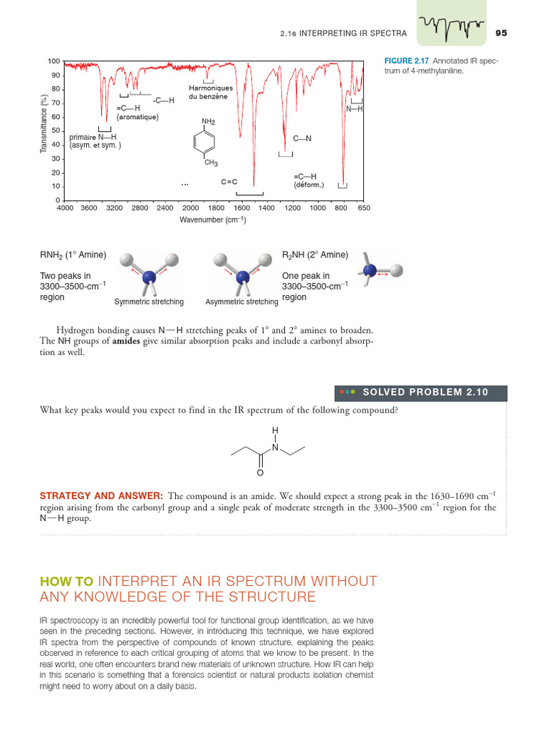Interpreting IR Spectra for Amines and Amides | PDF | Infrared ...