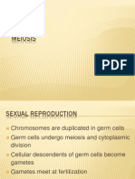 Meiosis 2010