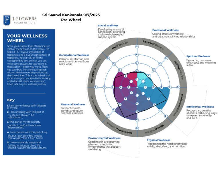 Wellness Wheel: Assessing Life Satisfaction | PDF | Psychology ...