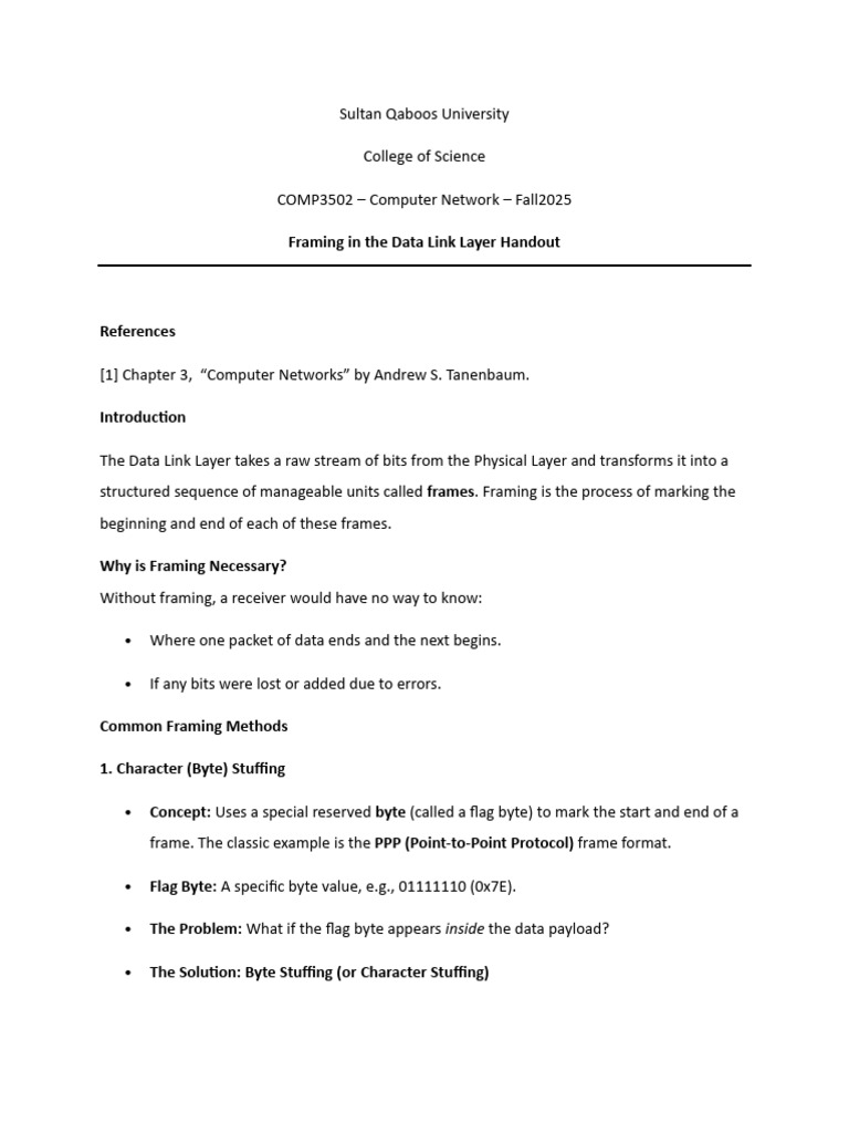 Data Link Layer Framing Techniques | PDF | Networking Standards ...