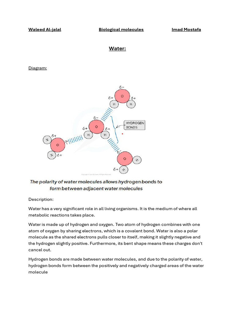 Properties of Biological Molecules | PDF | Protein Structure | Dna