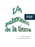 Secuencia Huerta PDF