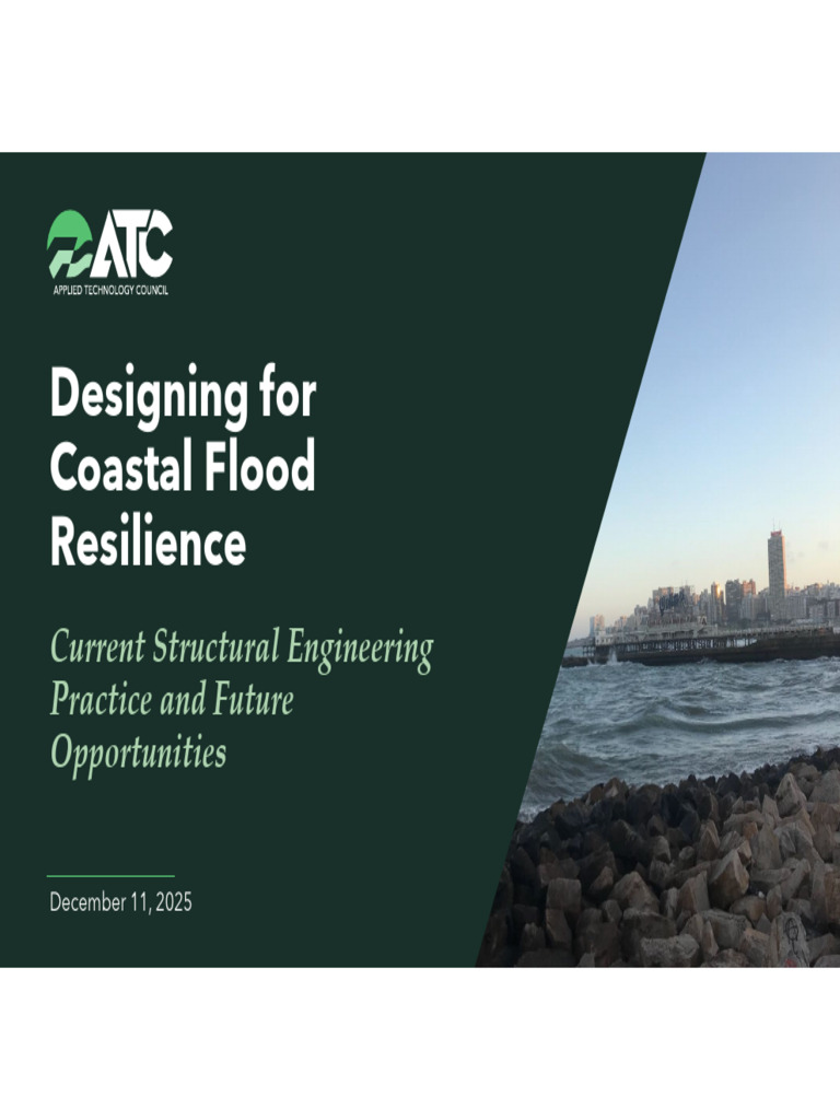 Coastal Flood Resilience Design Strategies | PDF | Flood | Hazards