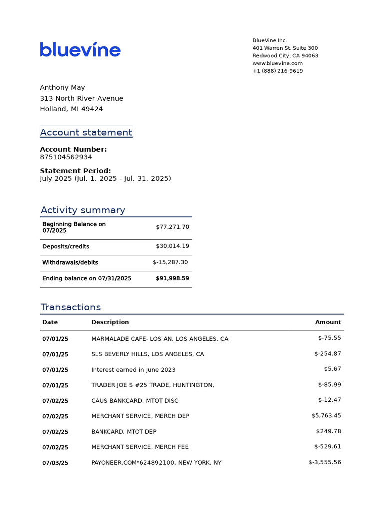 BlueVine Account Statement July 2025 | PDF | Banking | Retail Financial ...