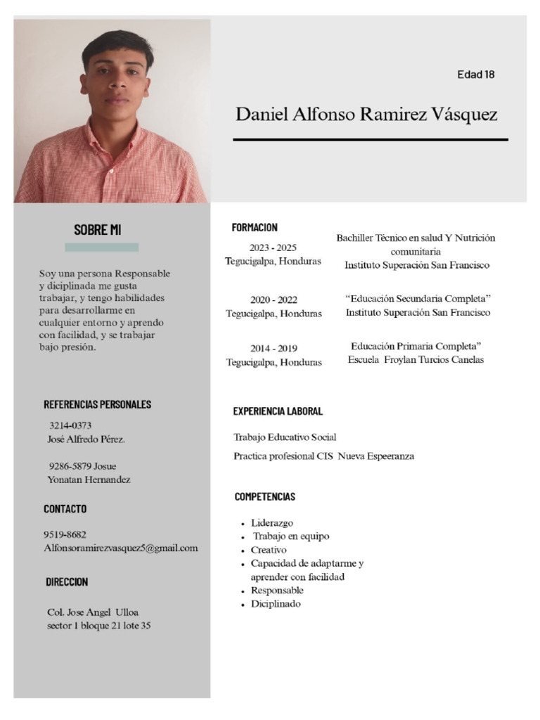 Curriculum Vitae Daniel Alfonzo | PDF