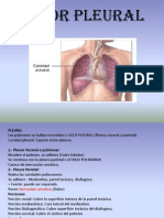 Exposicion Del Dolor Pleural