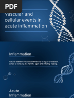 Inflammatory Response Flowchart | PDF | Inflammation | Medicine