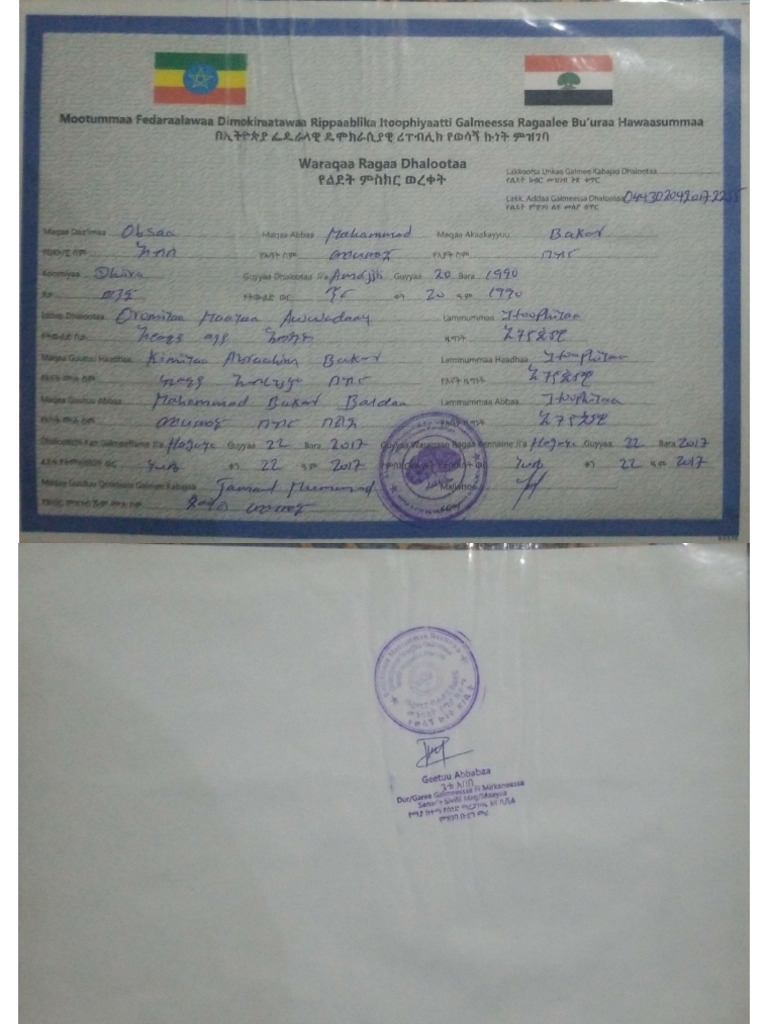 Obsa's B Certificate | PDF