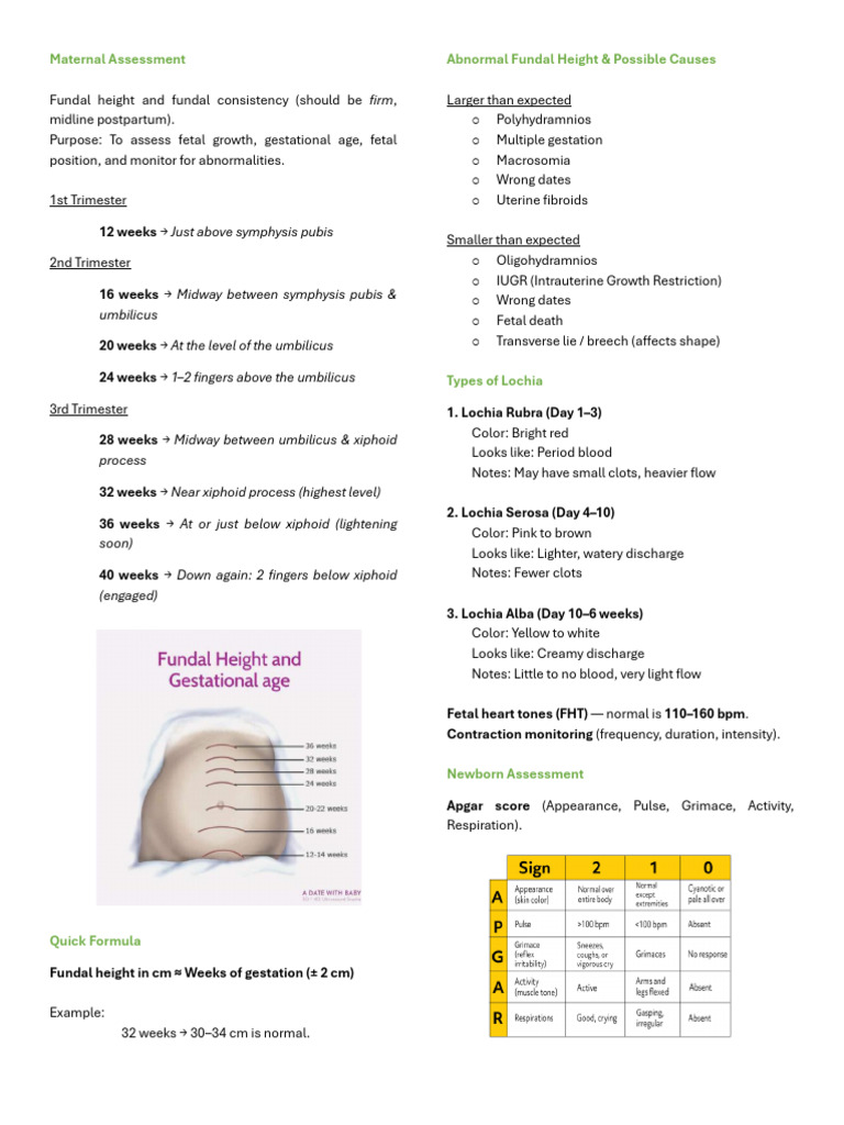 Maternal and Newborn Assessment Guide | PDF | Childbirth | Obstetrics