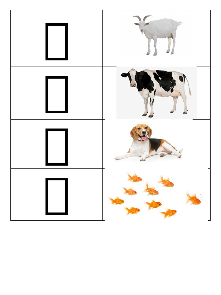 PG1 | PDF