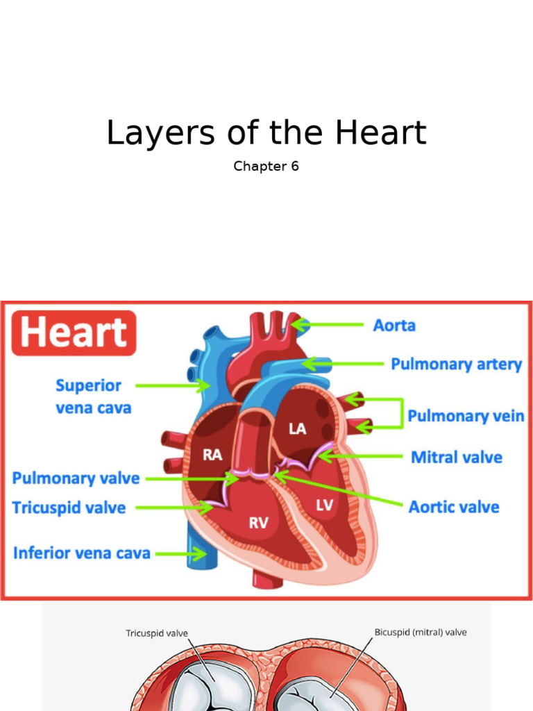 Layers of The Heart | PDF