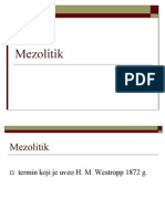 16823622-10-Mezolitik