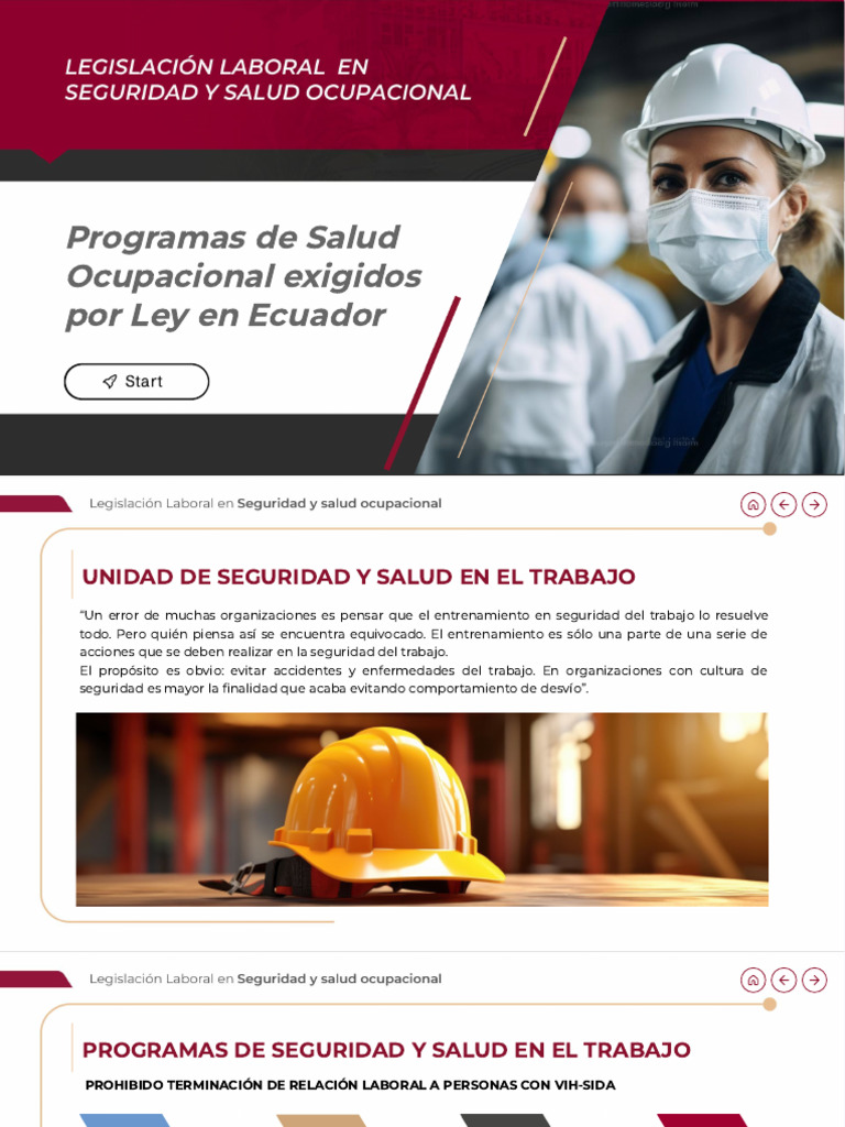 Programas de Salud Ocupacional en Ecuador | PDF | Seguridad y salud ...